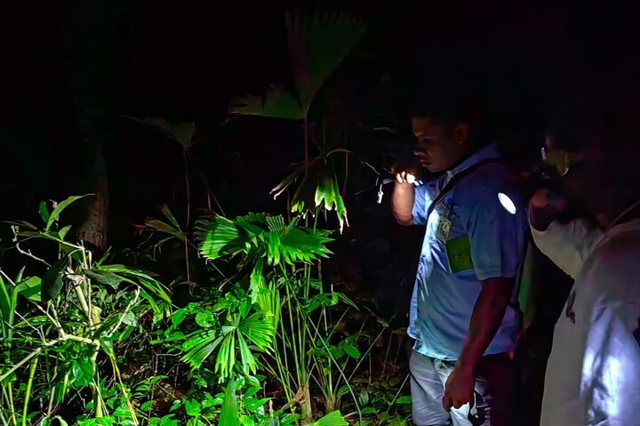 Caminata en el Refugio Gandoca-Manzanillo