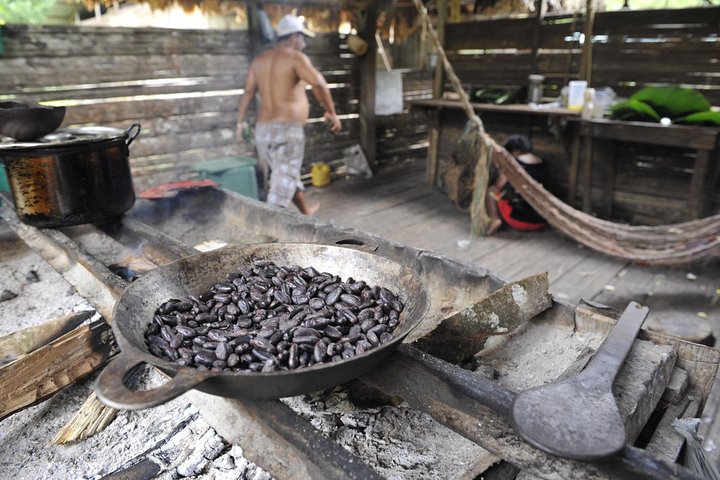 Caminata tropical en el Refugio Gandoca-Manzanillo