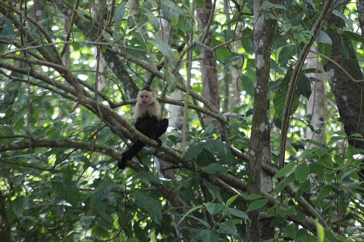 Observatorio natural en Manzanillo